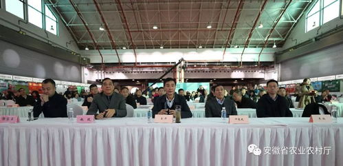 2019上海休閑農(nóng)業(yè)推介簽約活動在滬成功舉辦，安徽名優(yōu)農(nóng)產(chǎn)品閃耀申城